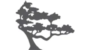 Torrey Pines Property Management