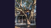Hendricks Property Service