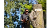 Tree Service Lancaster PA