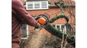 Emergency Tree Service
