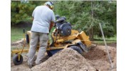 Stump Removal